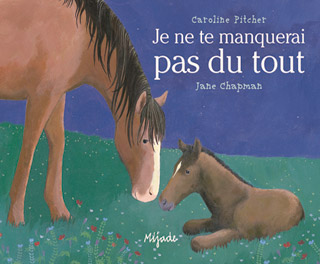 Je ne te manquerai<br />
pas du tout